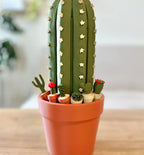 Cacti Chess - Advanced